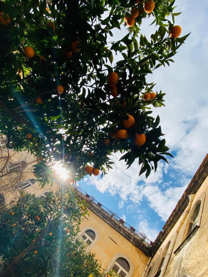 Bed and Breakfast Il Chiostro Massa Lubrense Exterior foto